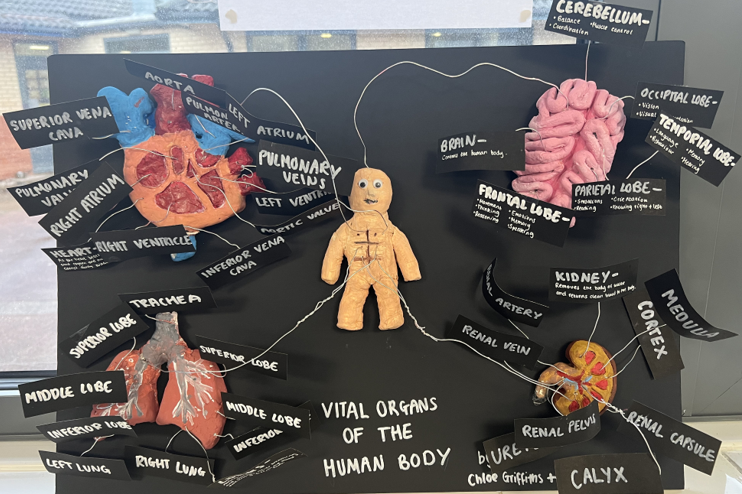 Denbigh School: Champions of the BioArtAttack 3D Contest - The Alliance ...
